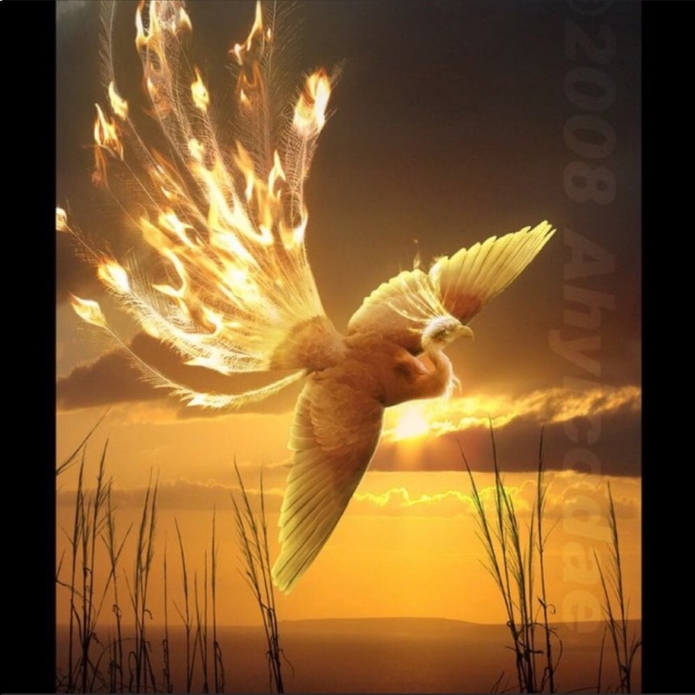 #83🦅♥️02/24 Comment almost full like listing #84 - Picture 7 of 10